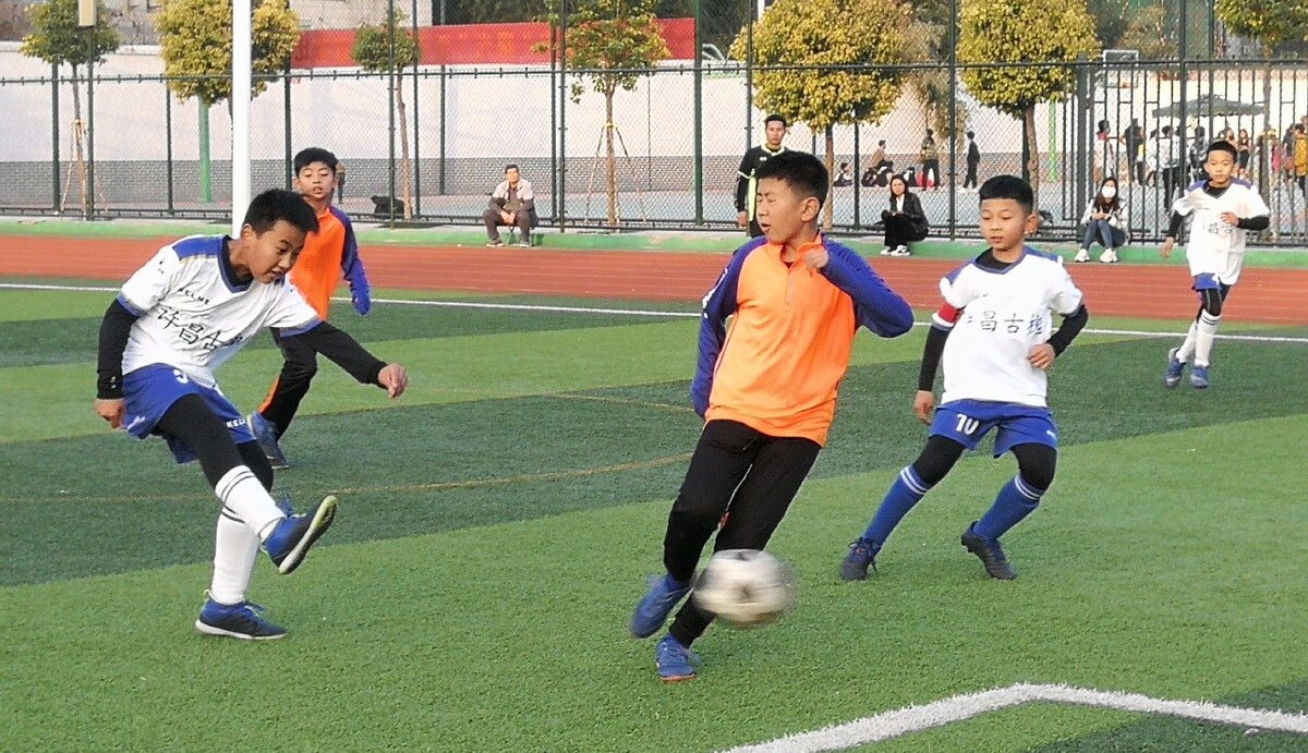 未来几年 未来几年