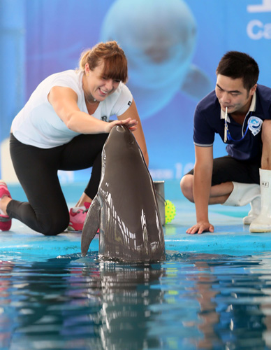 兑现商业级 兑现商业级